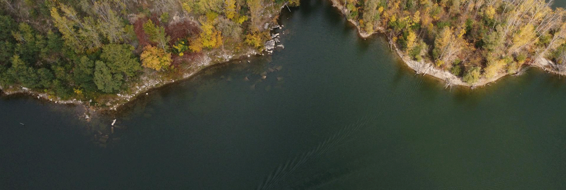 Retirement income planning with Global Financial Trust